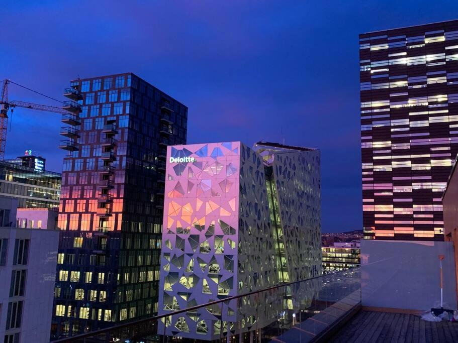 Apartamento Luxury Penthouse In Oslo, Fjord View, Jacuzzi And Huge Terrasse